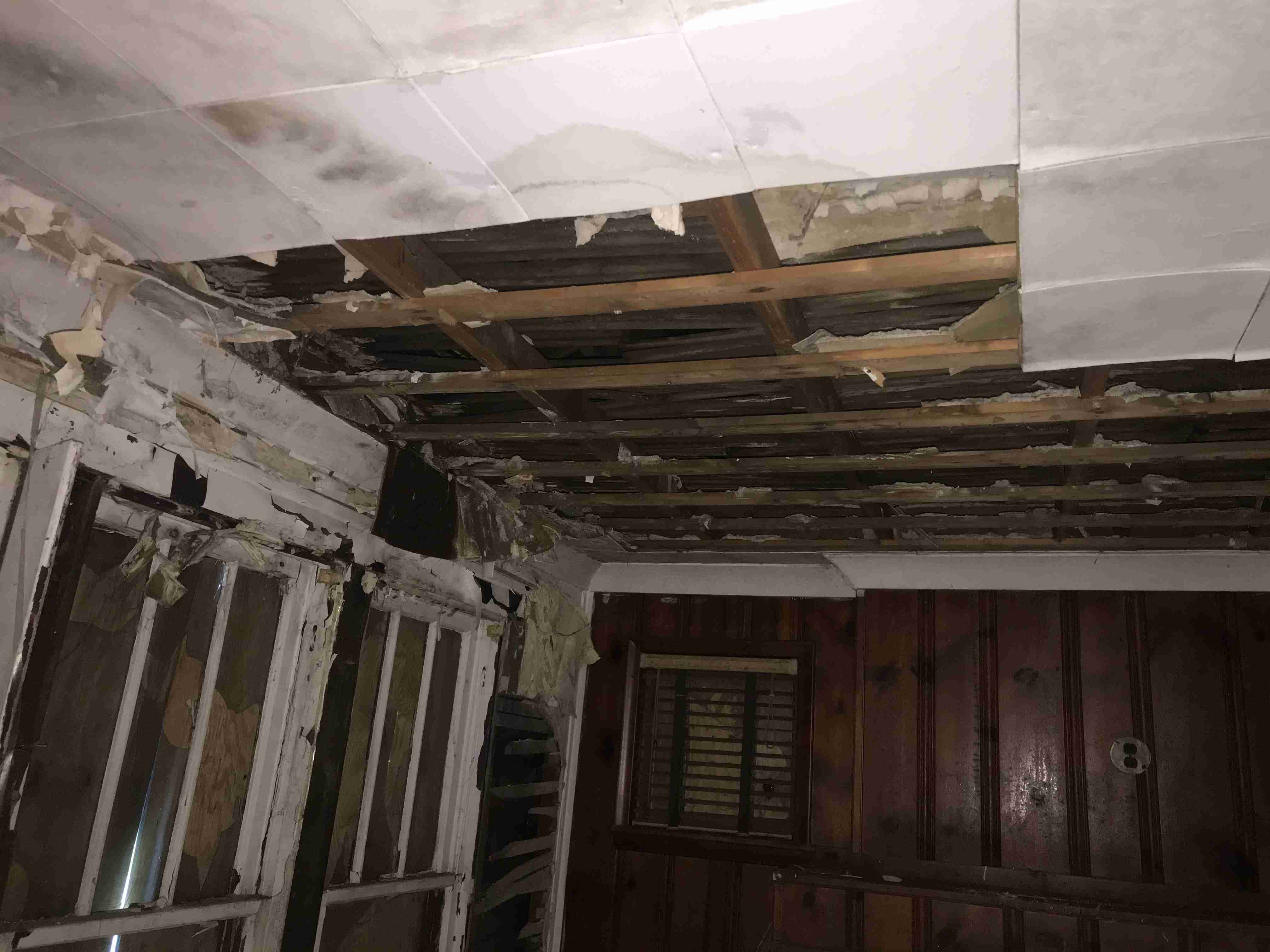 Photo Aug 20, 7 10 42 PM.jpg